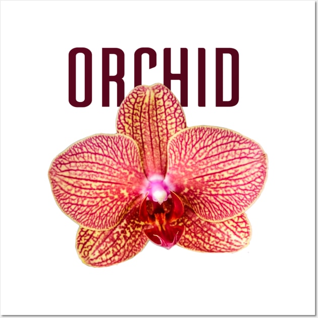 Yellow Orchid with Red Veins with Text Wall Art by ArtMorfic